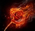 Wyeldfire