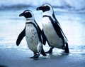 truthskr