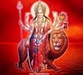 Astrologer D.P. sharma